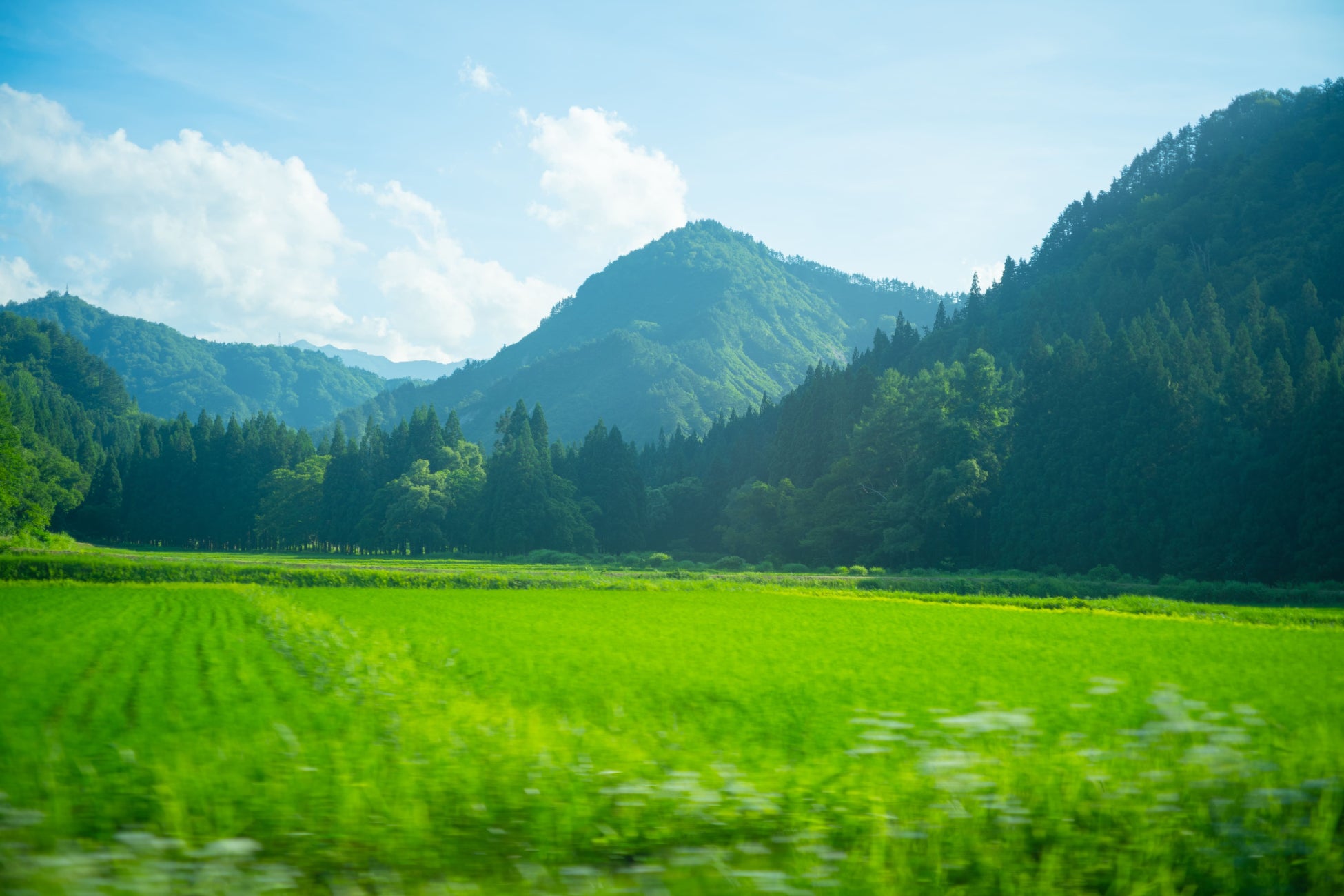 サーモスブースにて実施したマイボトル抽選会に約1,600名が参加！「使用済みステンレス製魔法びん 回収サービス」では約250本分を回収