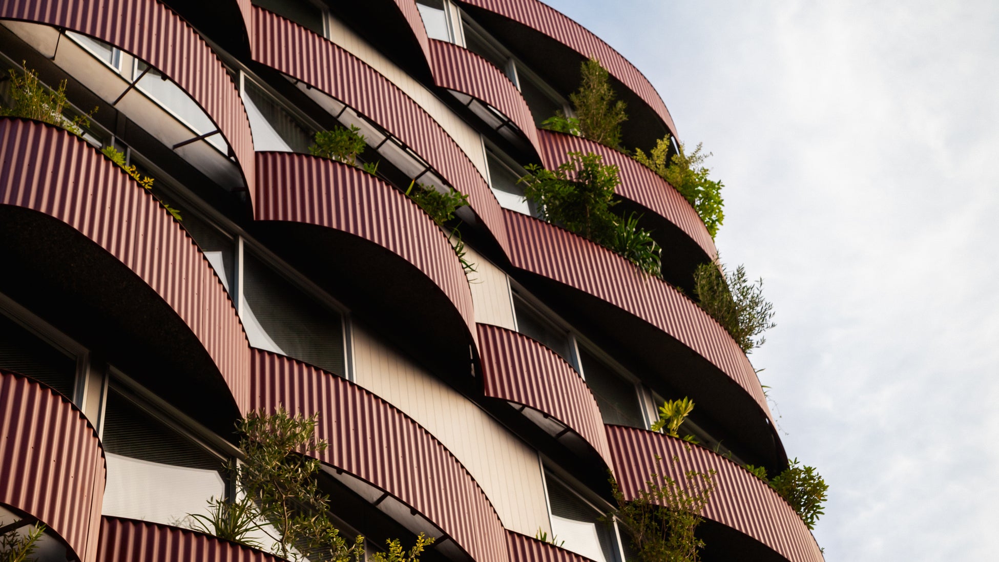 Google口コミ4.9‼「寿司×侍×エンターテイメント」が融合した、圧倒的な鮨握り体験レストラン「陣-浅草」