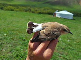 【初出店】こだわりジェラートを全国に卸販売しているレックス・ベリーが浅草に自社ジェラート専門店「アイスの沼」をオープン！ ” 絶品アイスに沼ってほしい ” をコンセプトにした初の直営店