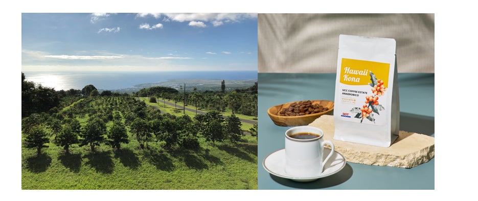 いつものパンが“大人のご褒美トースト”に！俺のBakery監修「ぬって焼くだけ　アーモンド塩キャラメル風トースト」を新発売！