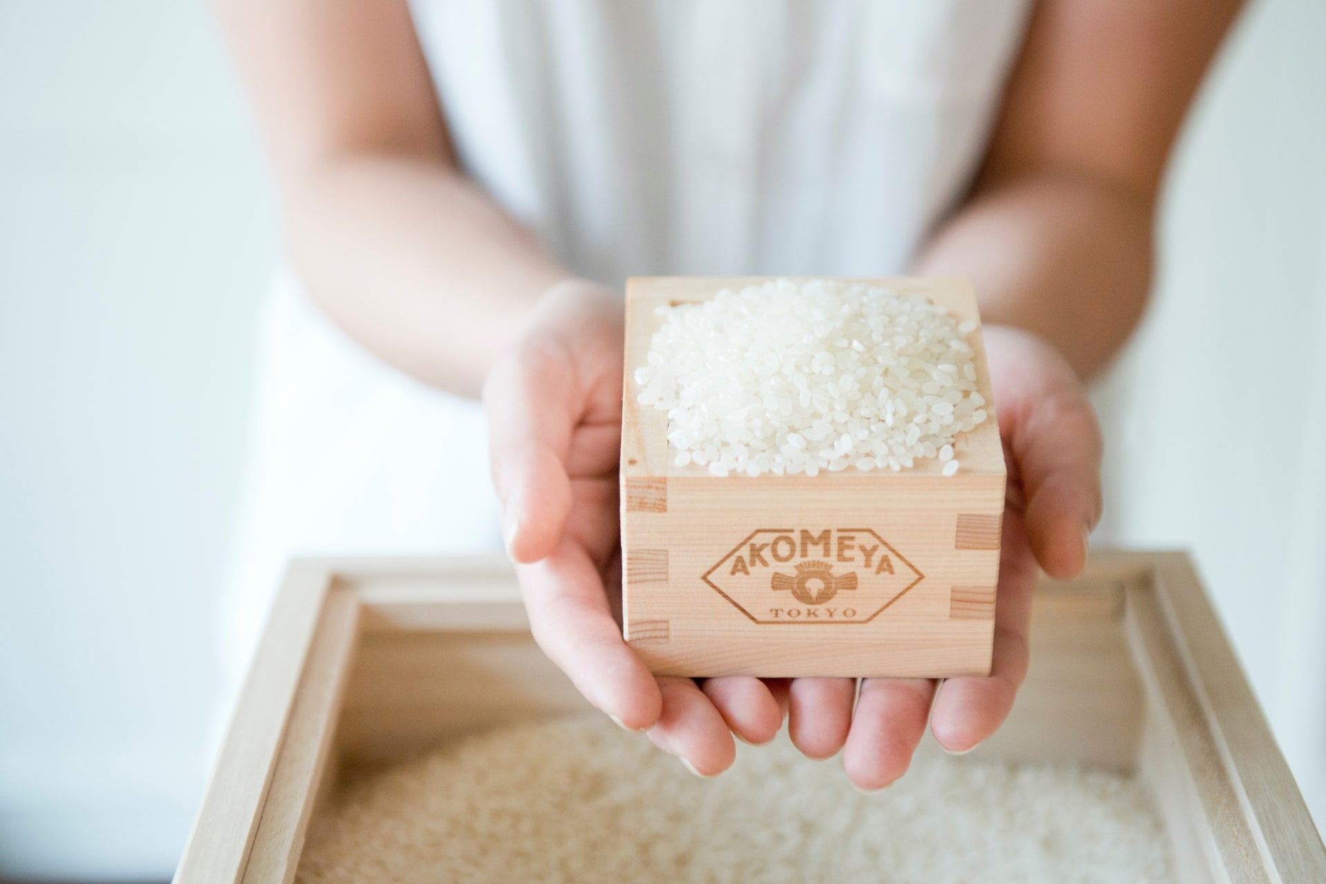 展示会マーケティング専門家が厳選「2025年8月開催：注目の展示会5選」ドラッグストア、ホームセンター、バックオフィス、食品、事業拡大など