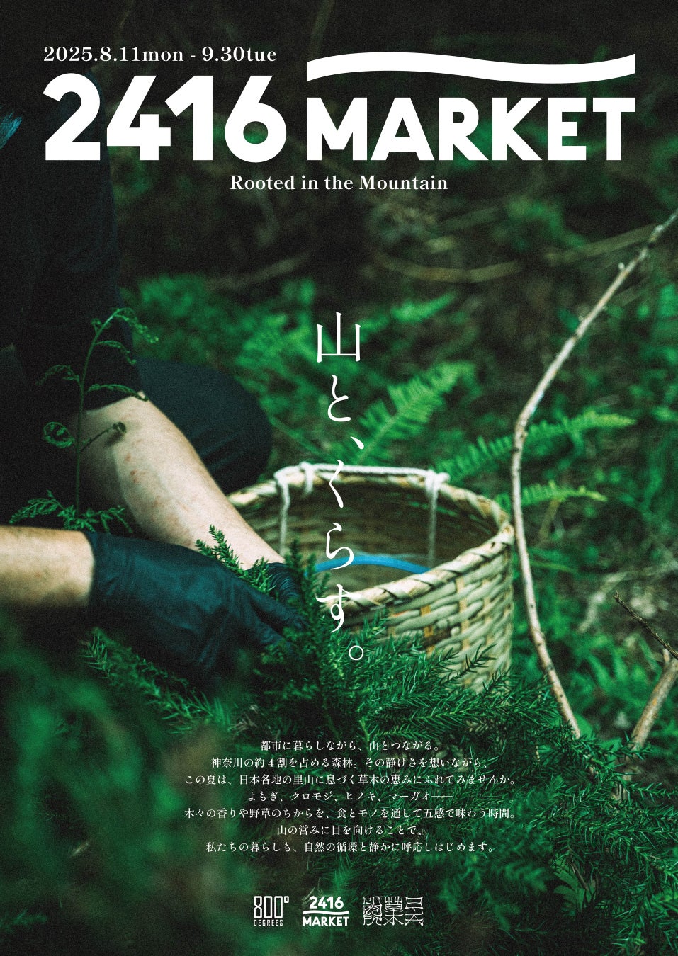 清潔さにこだわりたい人に!”つまみ”を掴んで外せる使いきり手袋「ニトリスト・イージープル」新発売