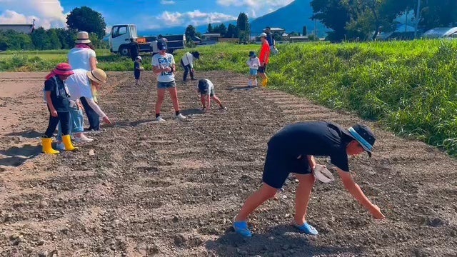【毎月ピザハットの“ハットの日”は超おトク!】8月も810円~おトクに食べられるおいしいピザで、猛暑を乗り越えるエネルギーをチャージしよう!