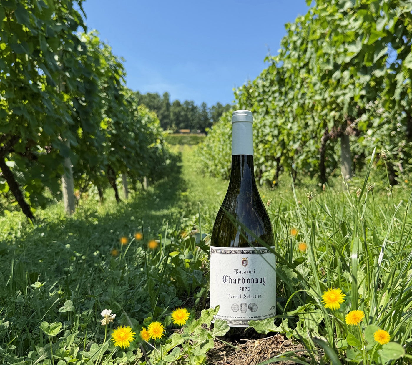 カンナビノイド産業の健全な発展と消費者保護を目的に「日本カンナビノイド関連団体連盟（JCF）」を設立