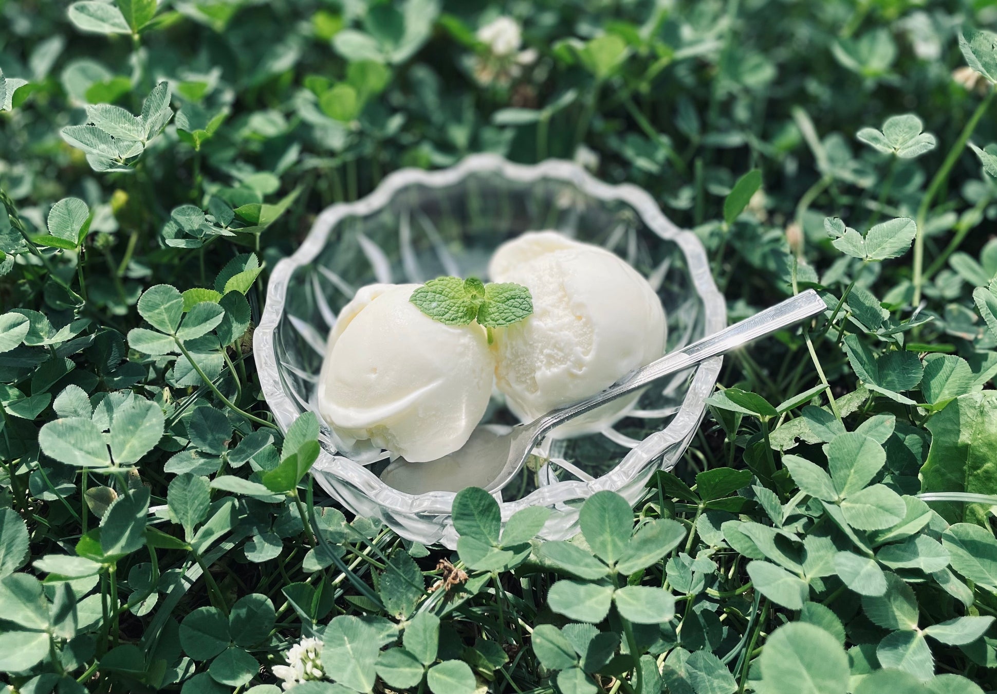 日本最適化栄養食協会　フードバンク団体を通じて「こども応援全国プロジェクト」に認証製品約1.2万食を提供