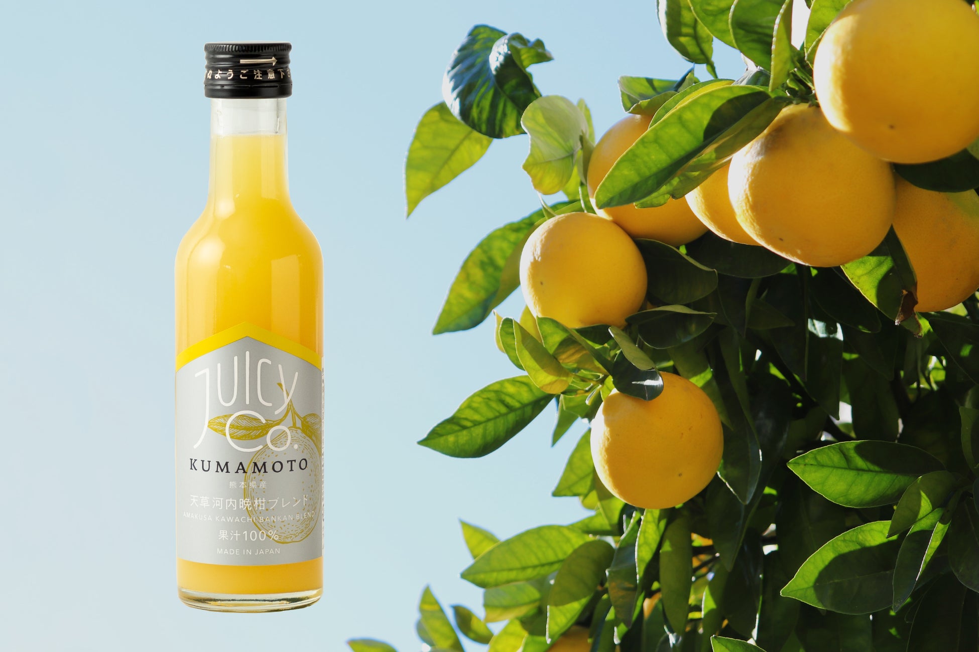 韓国料理の中でも特に人気な味を「じゃがりこ」で再現！夏の暑い季節にぴったりな甘辛い味わい『じゃがりこ ヤンニョムチキン味Lサイズ』