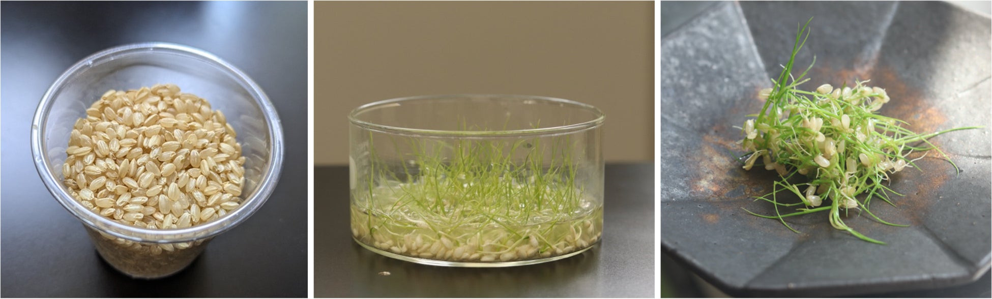 【リーガロイヤルホテル小倉】ホテル初開催！まるで宝石のようなスイーツに心躍る「Autumn Jewel ～シャインマスカットフェア～ 」