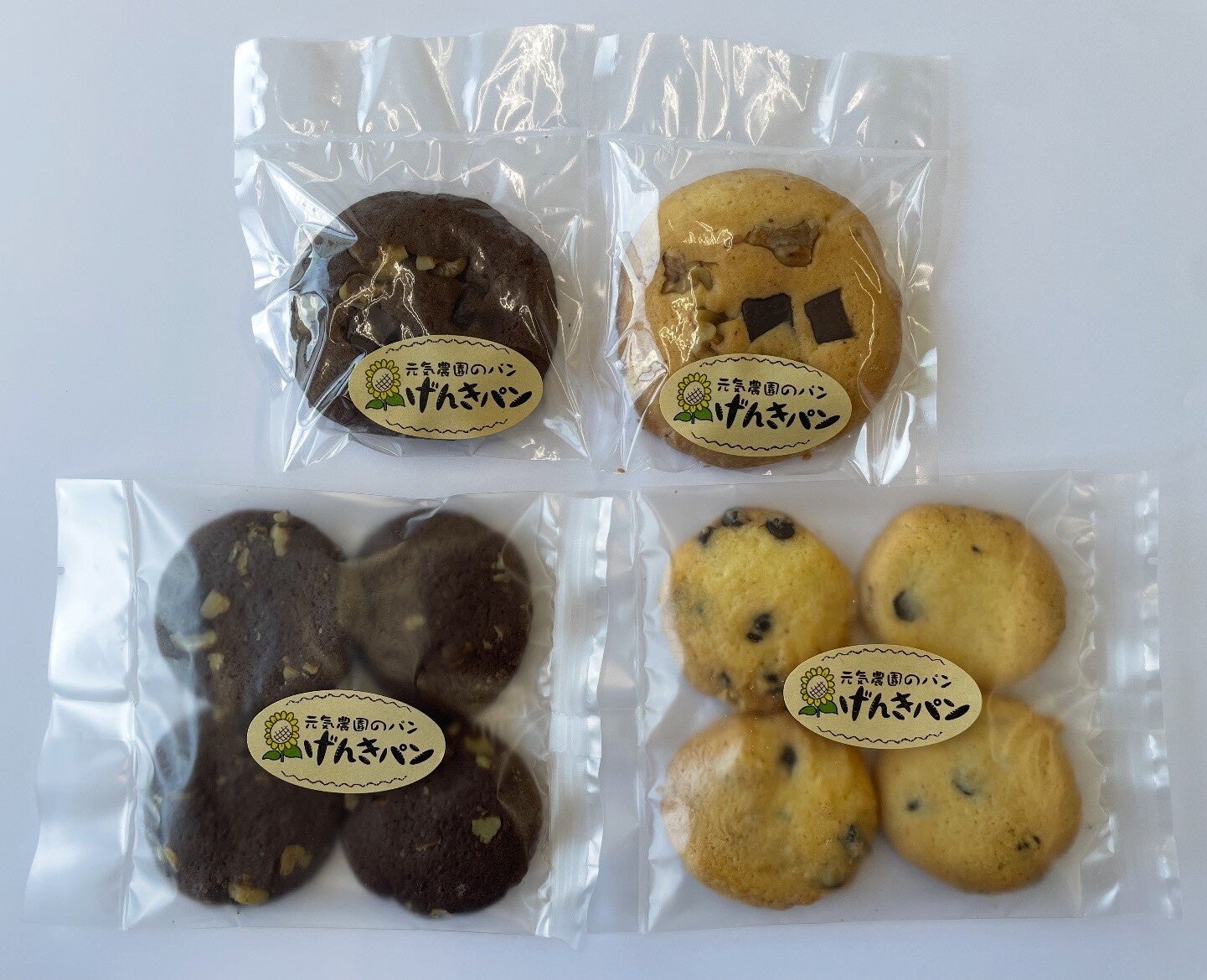 箱根登山電車・現役駅員プロデュースの体験型電車イベント「箱根登山電車に乗って行こう！風祭トレインフェスタ」