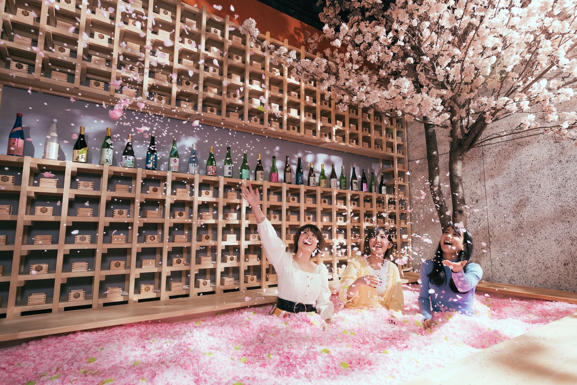 都市型農業モデルを確立し、大阪をさつまいもの産地へ株式会社オオサカポテトに投資を実行