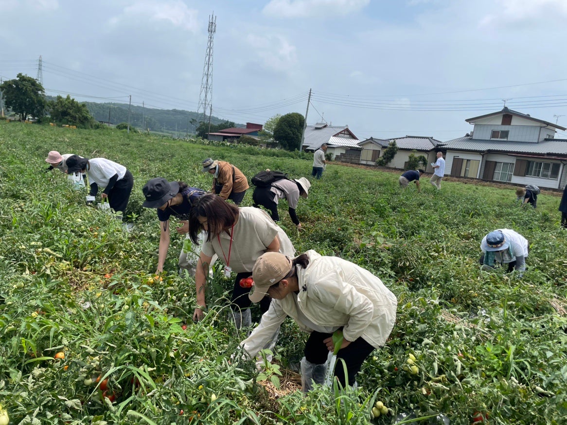 【夏の疲れを癒すご褒美キャンペーン】Perrierの炭酸水とLOLA JAMES HARPERのキャンドルが当たる！