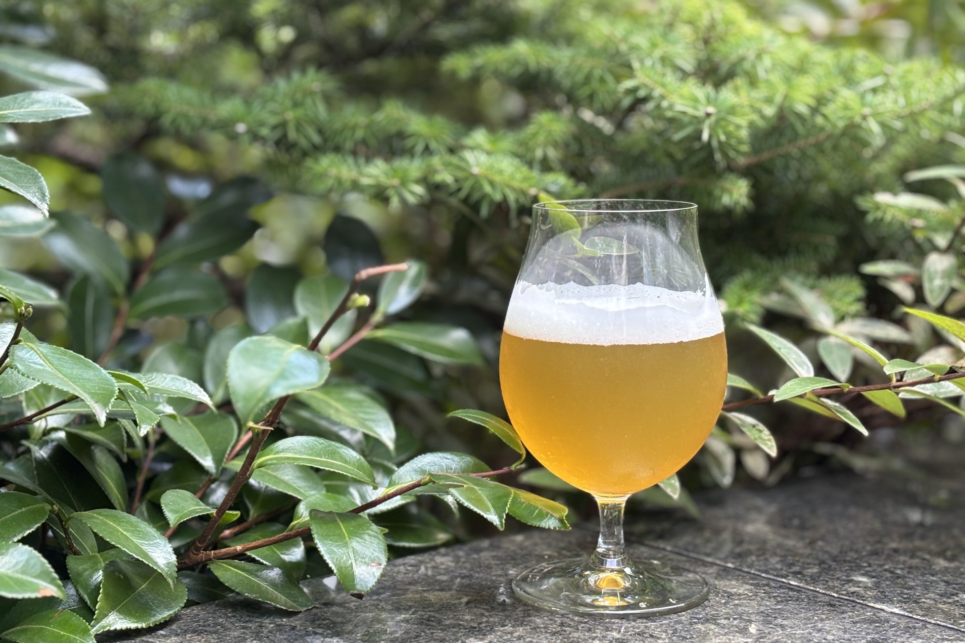 月経周期における肌状態の変動および有用な食品についての研究成果を発表