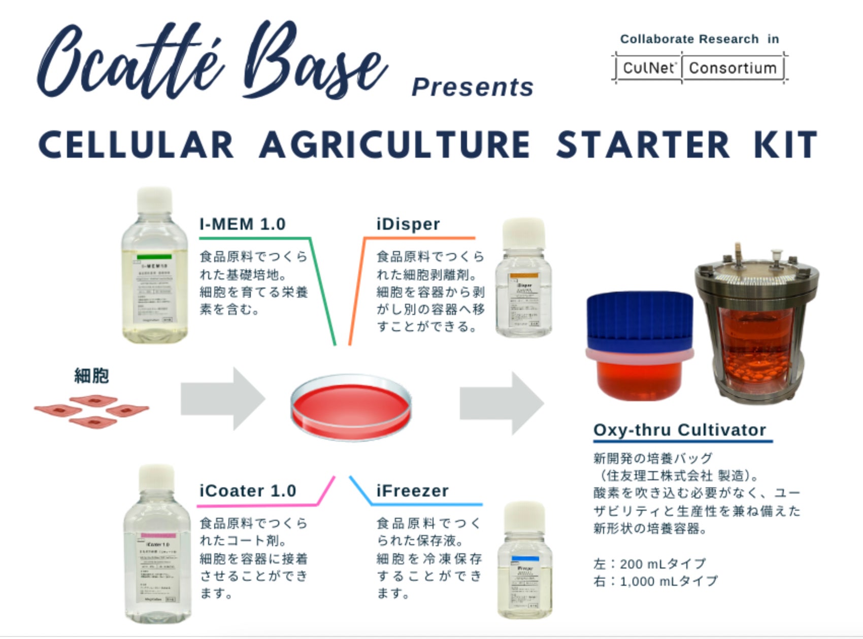 累計出荷数300万個突破の大ヒット商品 「ドモホルンリンクルのど飴」、再リニューアル