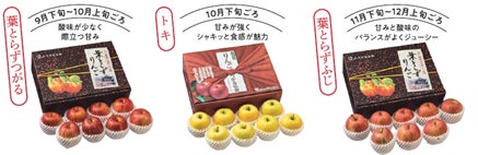 Rocket Now、東京で加盟店対応職の大規模な採用活動を開始