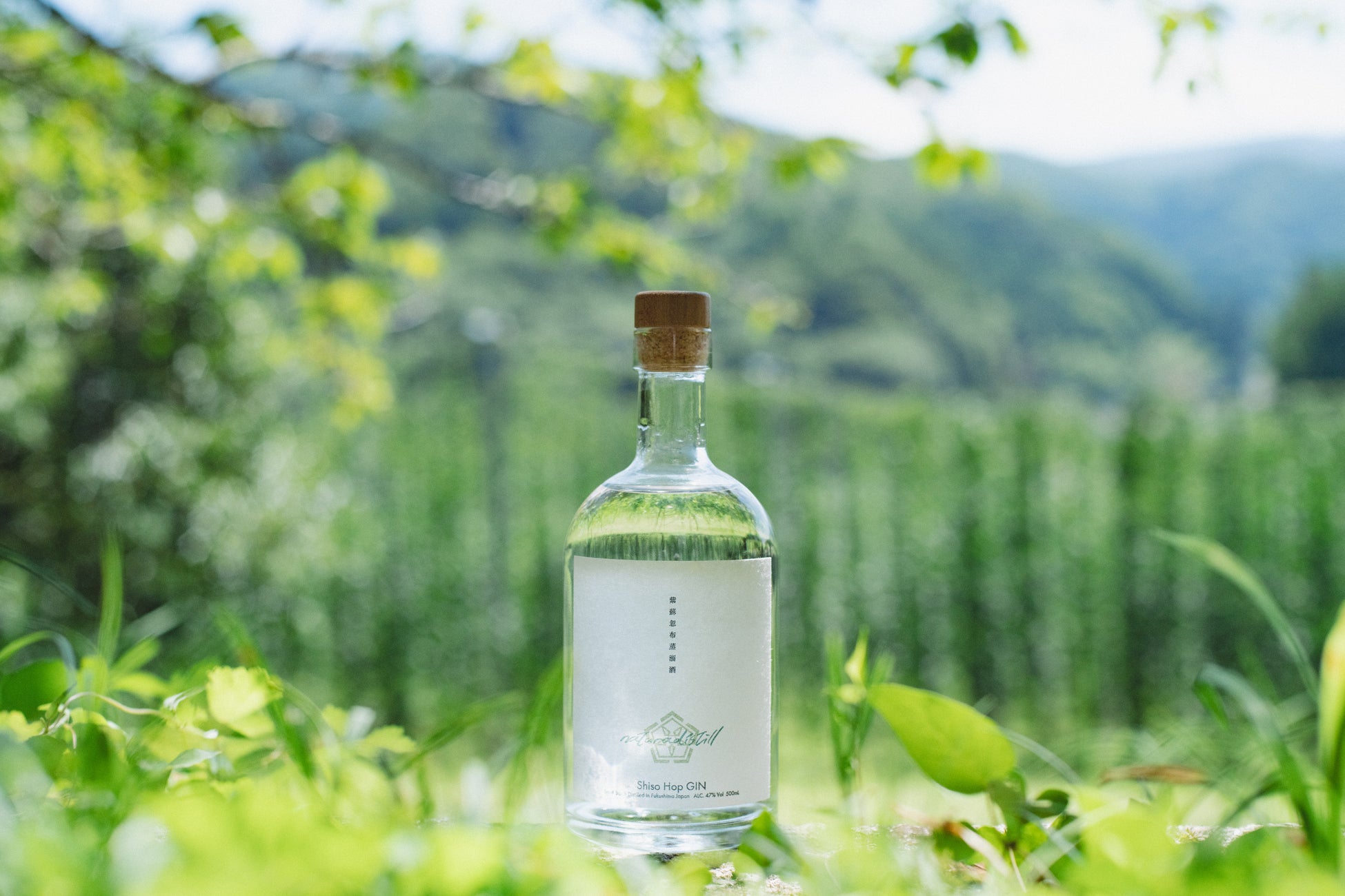 【千葉/袖ケ浦】「減塩アドバイザーによる講演会」を開催します！