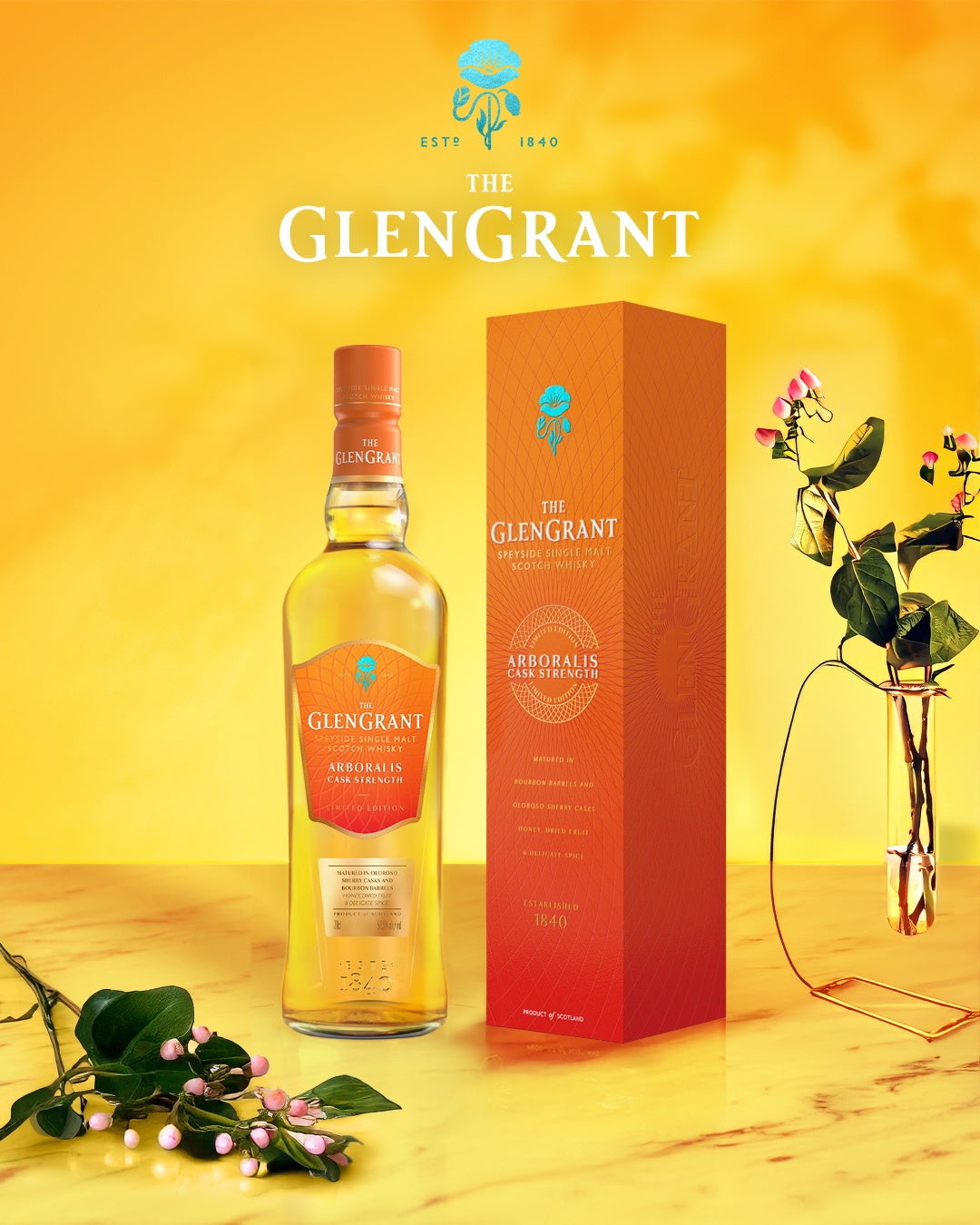 間食のジレンマを解消する新感覚おやつ濃厚えびの旨みが噛むほど広がる「こいうまチップ 濃厚えび風味」が2025年9月8日(月)に新発売！