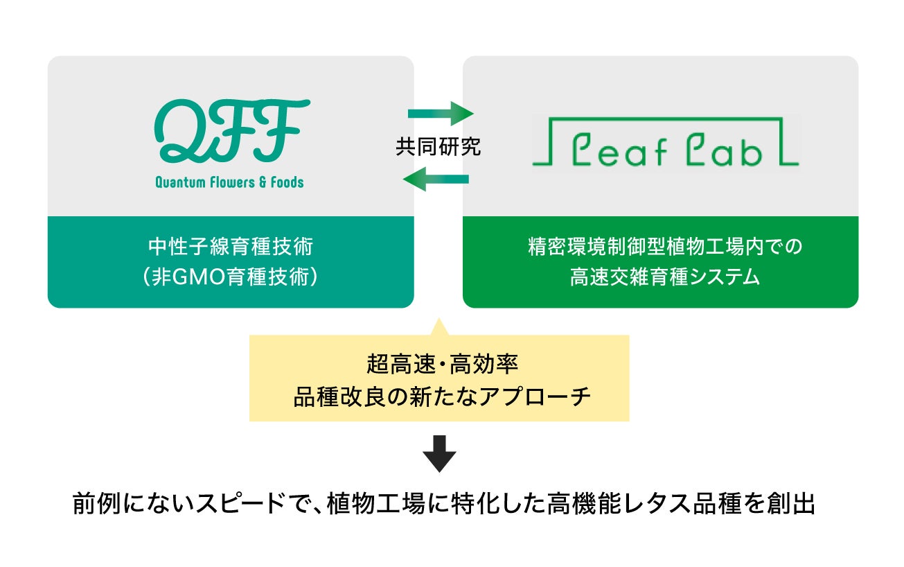 【nana’s green tea】ラスベガスに初出店　現地で抹茶・日本茶ブームを発信