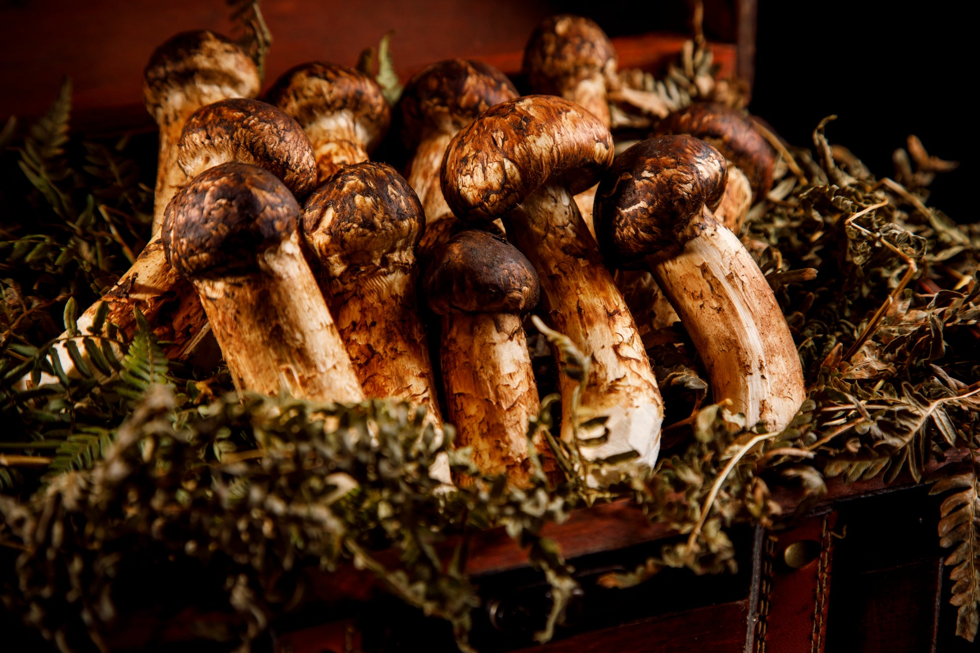 中目黒初登場。“和食のように軽やかな高級焼肉”を全席個室と夜景の空間で──8月18日『焼肉うし幸』グランドオープン
