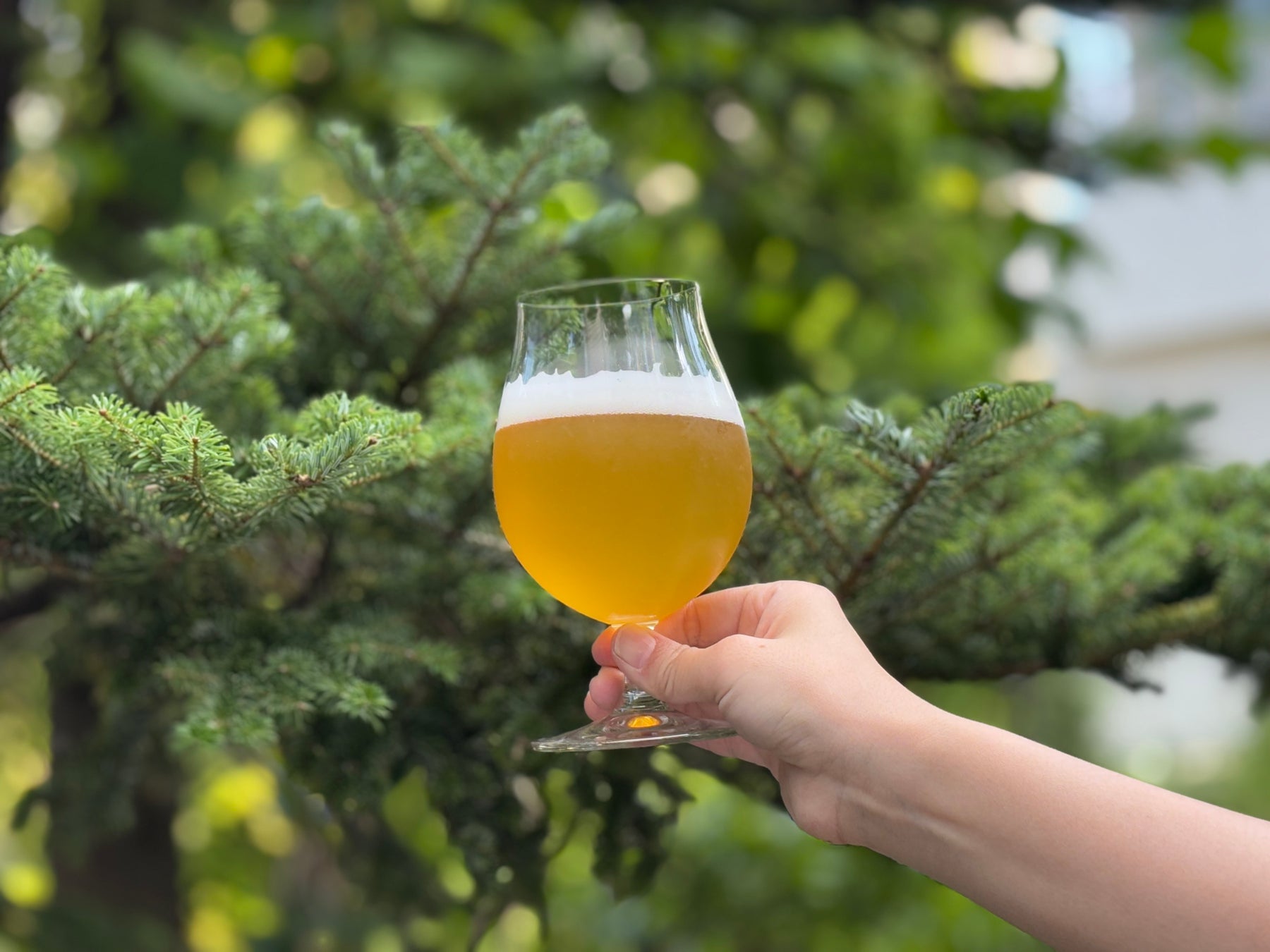 海外インフルエンサーと中村シェフが浪江町を訪問 ―地元食材と文化の魅力を伝える、産地体験＆会食イベント開催―