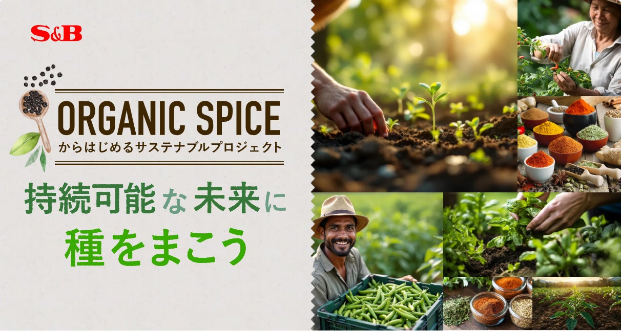 横浜バニラ、関西初出店！「大阪髙島屋」、「京都髙島屋S.C.」でのポップアップストア開催が決定！期間中《特製バニ丸ステッカー》の購入者限定プレゼントも実施！