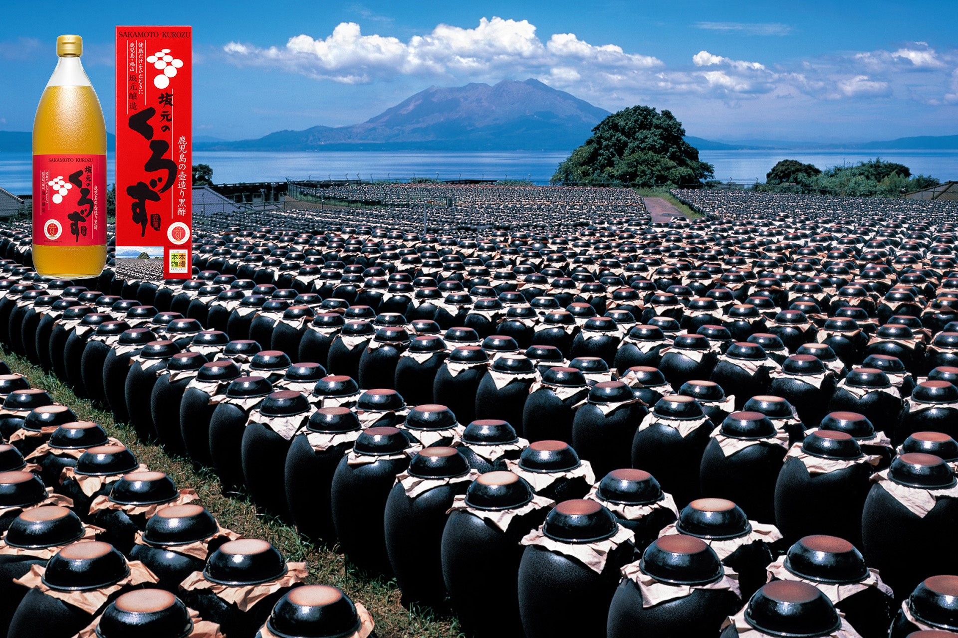 【秋の味覚×デニッシュ】ブーランジェリー「バゲットラビット」よりみずみずしさ弾けるシャインマスカットや紅あずまを使用したデニッシュをはじめ、“モンブラン仕立て”の栗デニッシュなど秋限定のパンを新発売！