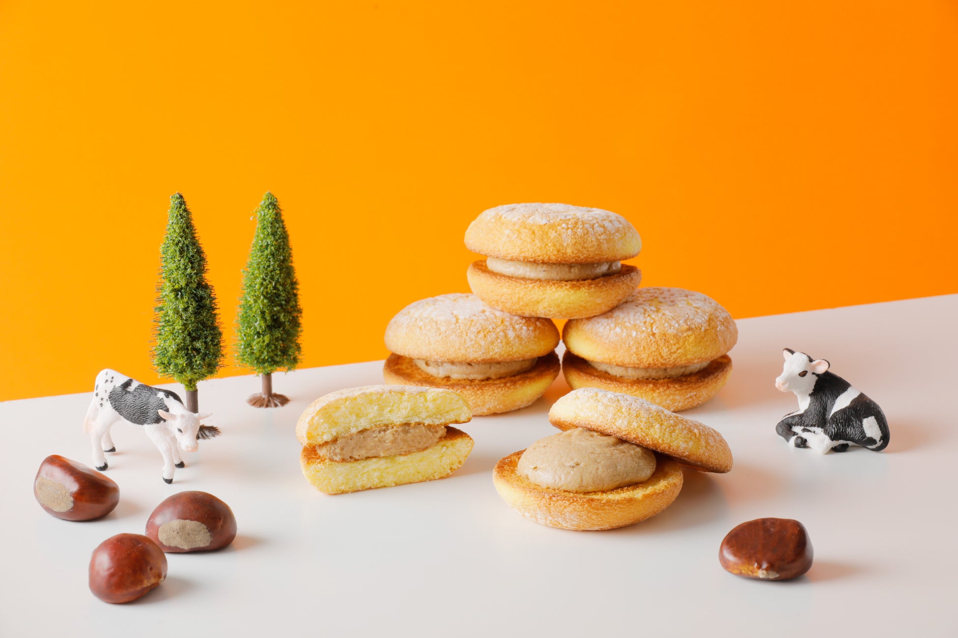 「はちみつ紅茶ティーバッグ」シリーズに新フレーバー登場!「日東紅茶 はちみつチャイティーバッグ 18袋入り」が8月25日（月）より発売