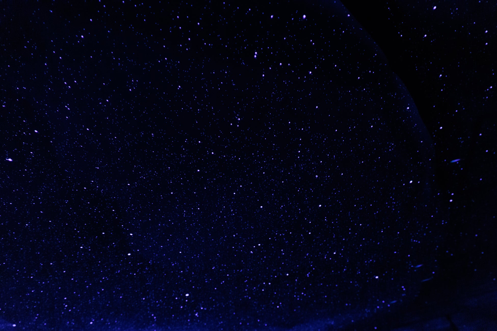 【開催迫る！】North Tokyo Craft Beer Festival 2025（9/6・7）開催！