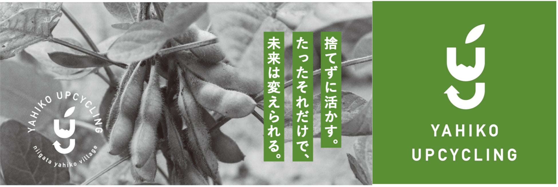 「Brewin’ Groove Festival」第四弾出演アーティストとしてつじあやの、寺中友将（KEYTALK）、天々高々 出演決定！