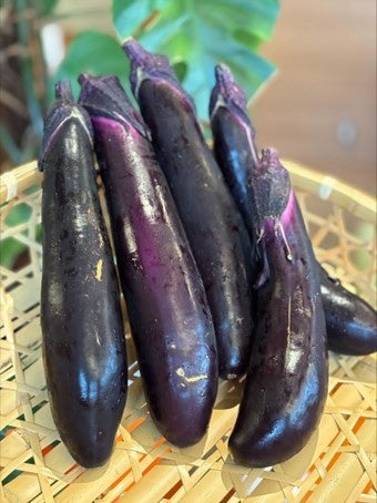 【ホテルメトロポリタン】～日本のうまいもの～【長野・新潟 信越フェア】ビュッフェを開催