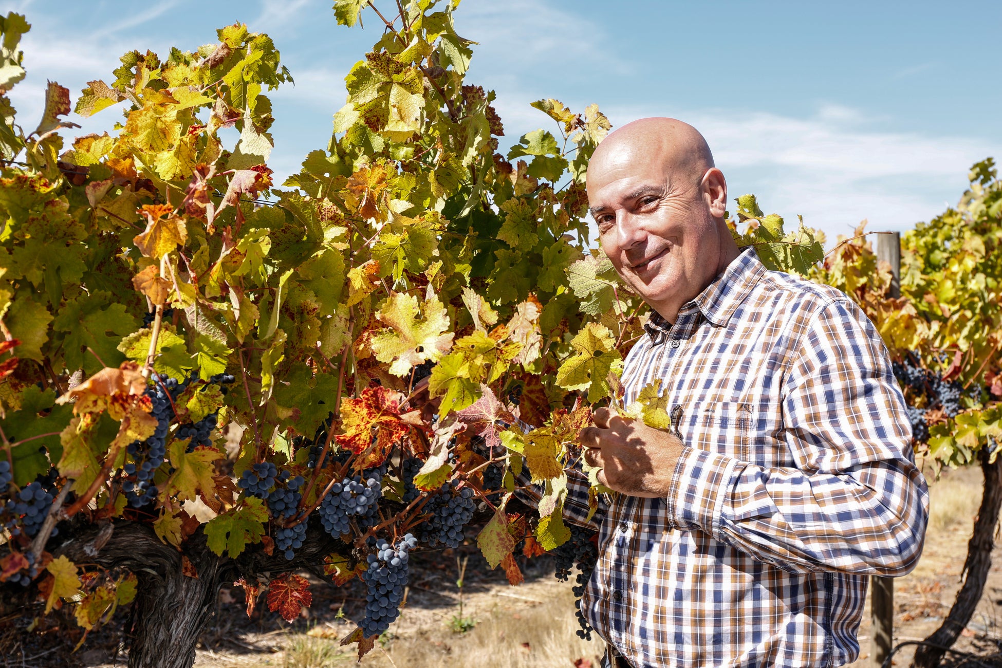【阪急うめだ本店】韓国で人気のカフェやピンス(かき氷）も登場！「世界のかわいいもの展」