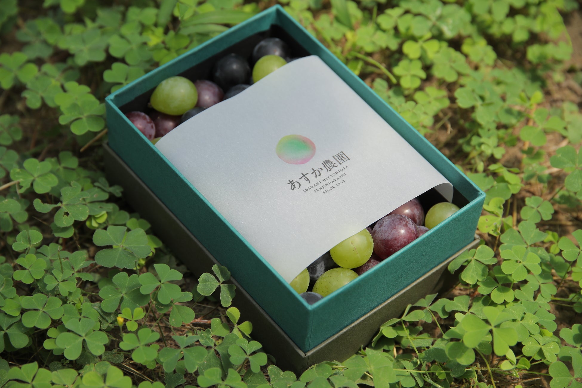 【高宮庭園茶寮】素材本来の味わいを楽しむ生おせち 9月1日(月)より予約開始