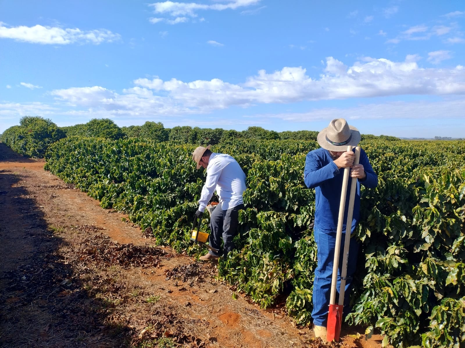 シアトルズベストコーヒーが 「大人珈琲ゼリージャバクーラ」「大人コールドブリューラテ」を期間限定販売！