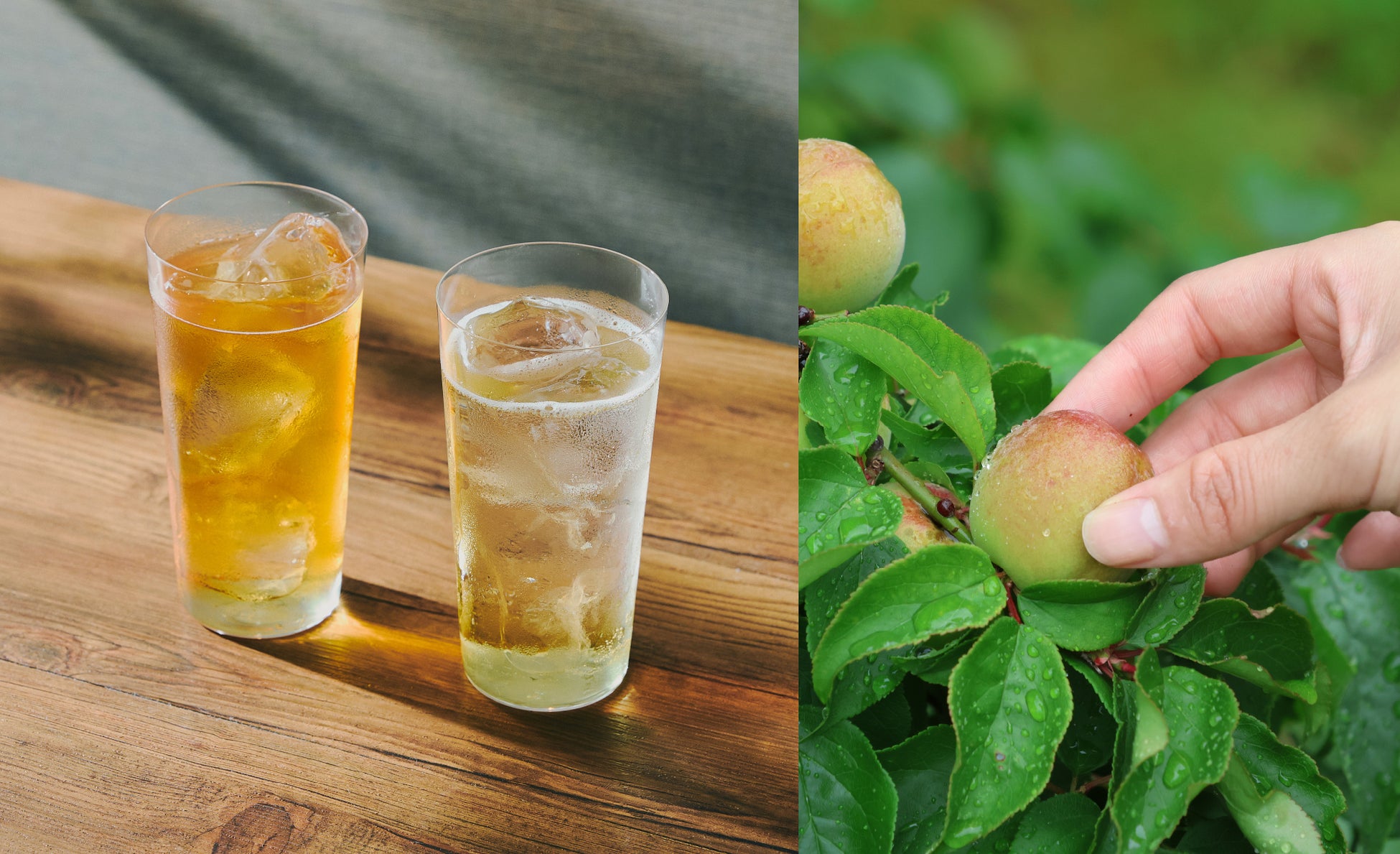 【琵琶湖ホテル】敬老の日 キッズ体験イベント開催 『手づくりピッツァでありがとう』