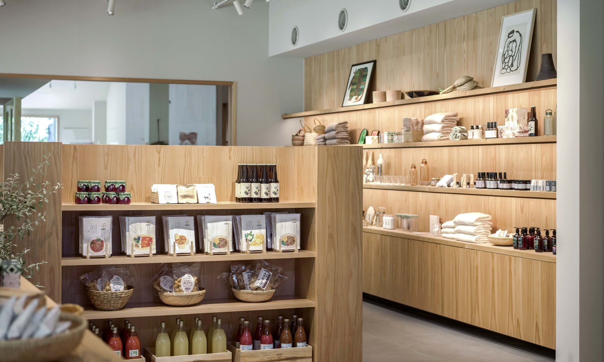 ~綿半オリジナル商品をお届け~商品内容を大幅リニューアル!綿半の今年の株主優待が決定!18点の中からお選びいただけます!