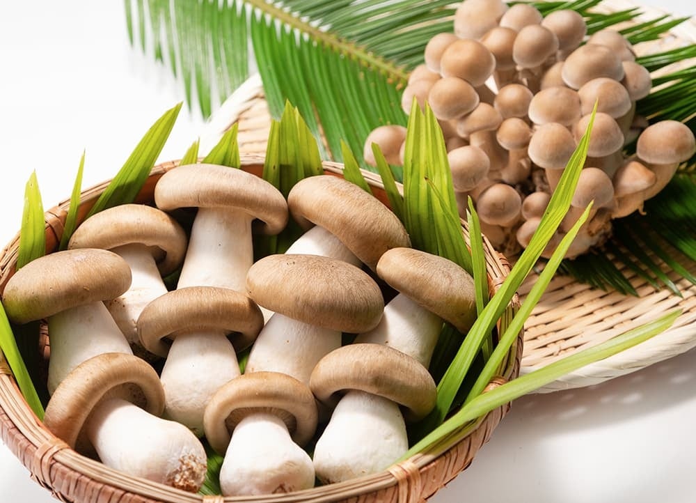 Z世代の学生団体がフードロス削減に挑戦！エコ・ライス新潟と協同し、規格外の野菜や米を使ったヘルシー弁当を9月1日、藤沢駅前で限定販売