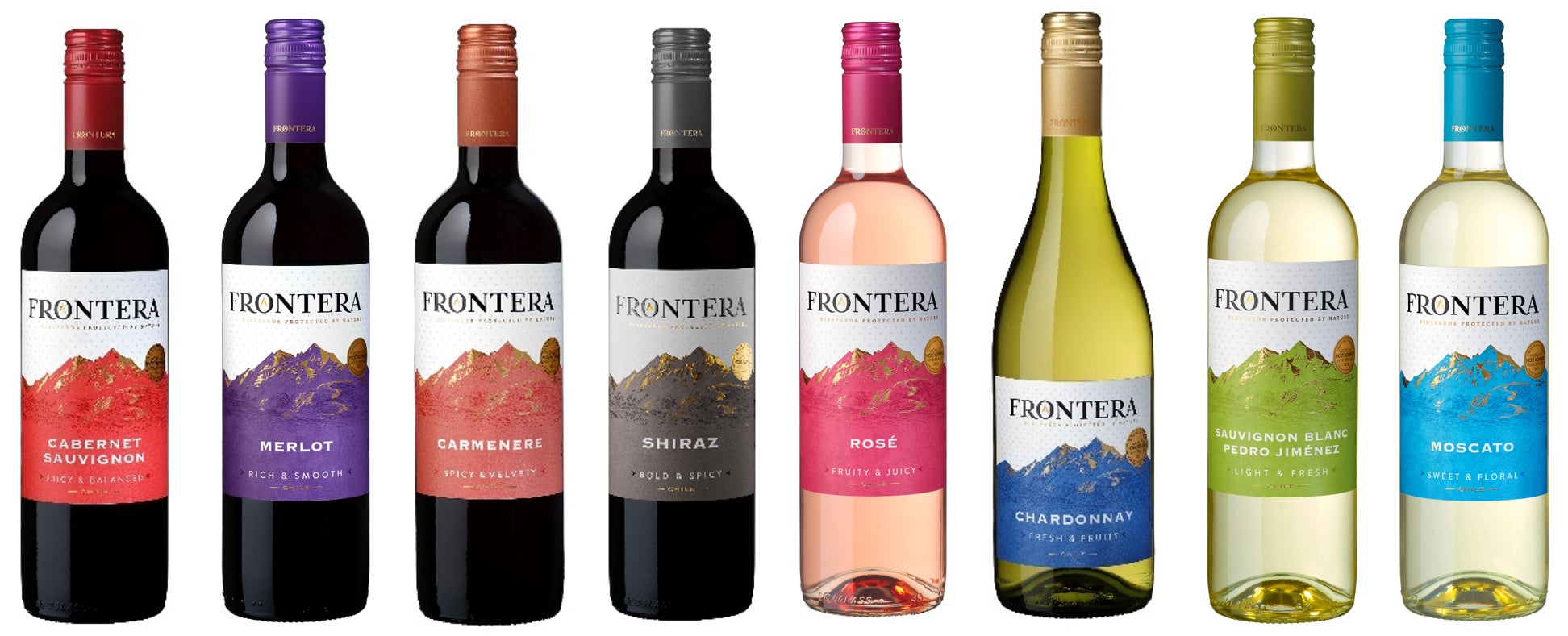 マンゴーを満喫できる『MANGO JOURNEY』を開催！「マンゴー」アイスクリーム、「アサイーマンゴーシェイク」を9月1日（月）に発売