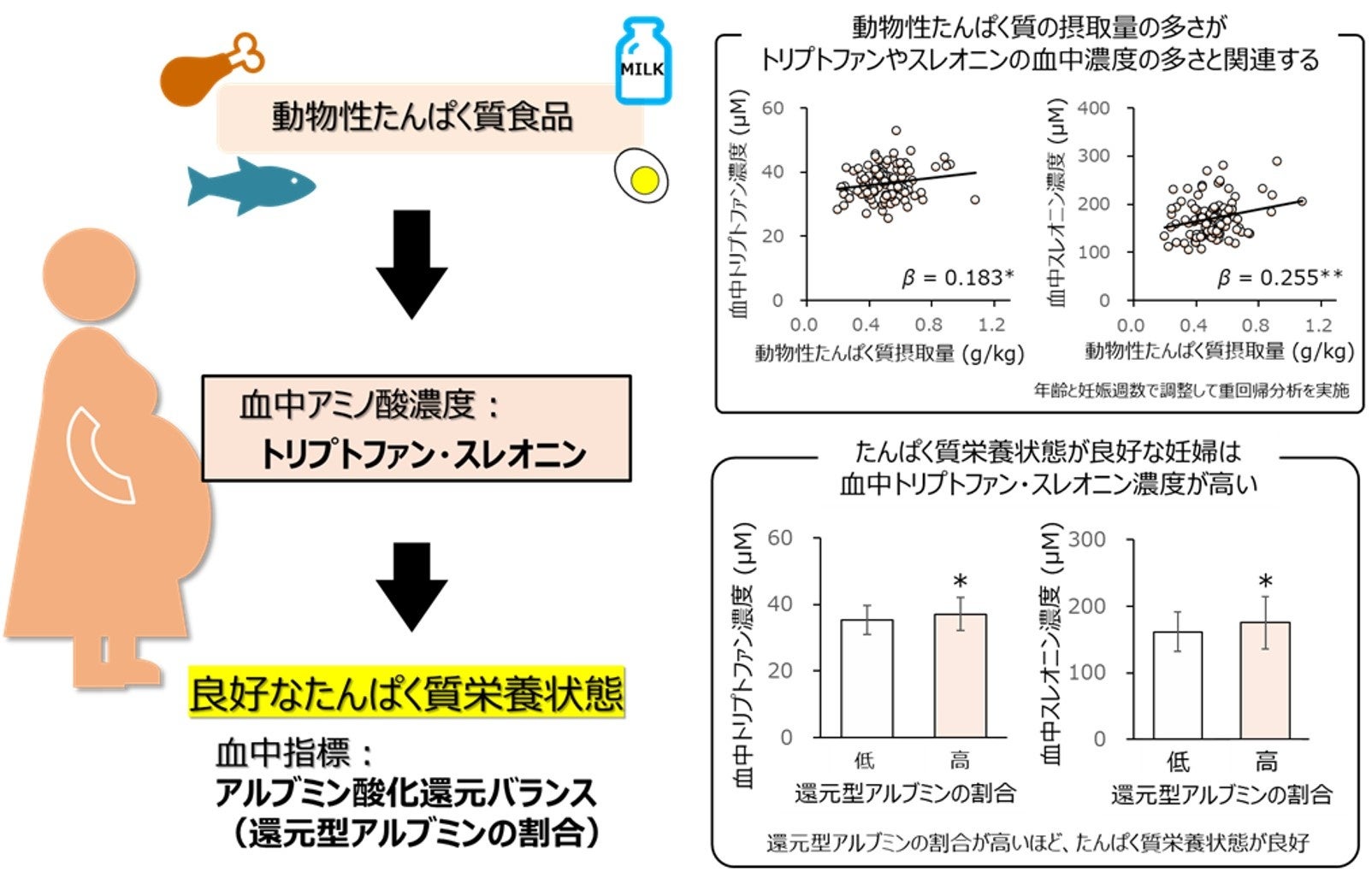 カリフォルニア産アーモンドの可能性を解き明かす：新たな研究で健康を支える成分を多数発見