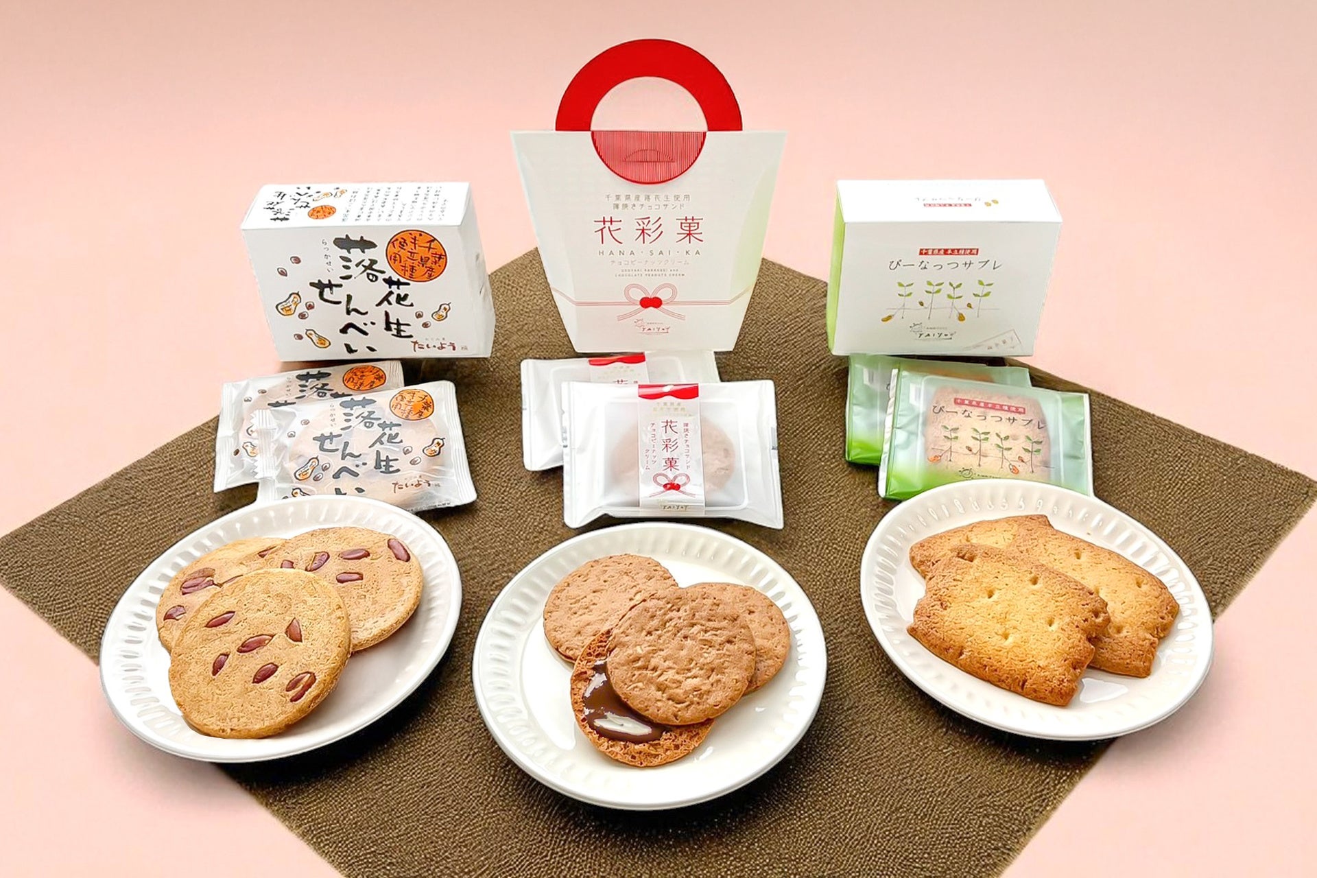 「国産小麦」のパンづくりの理由を『おしごと年鑑』で小中学生に紹介