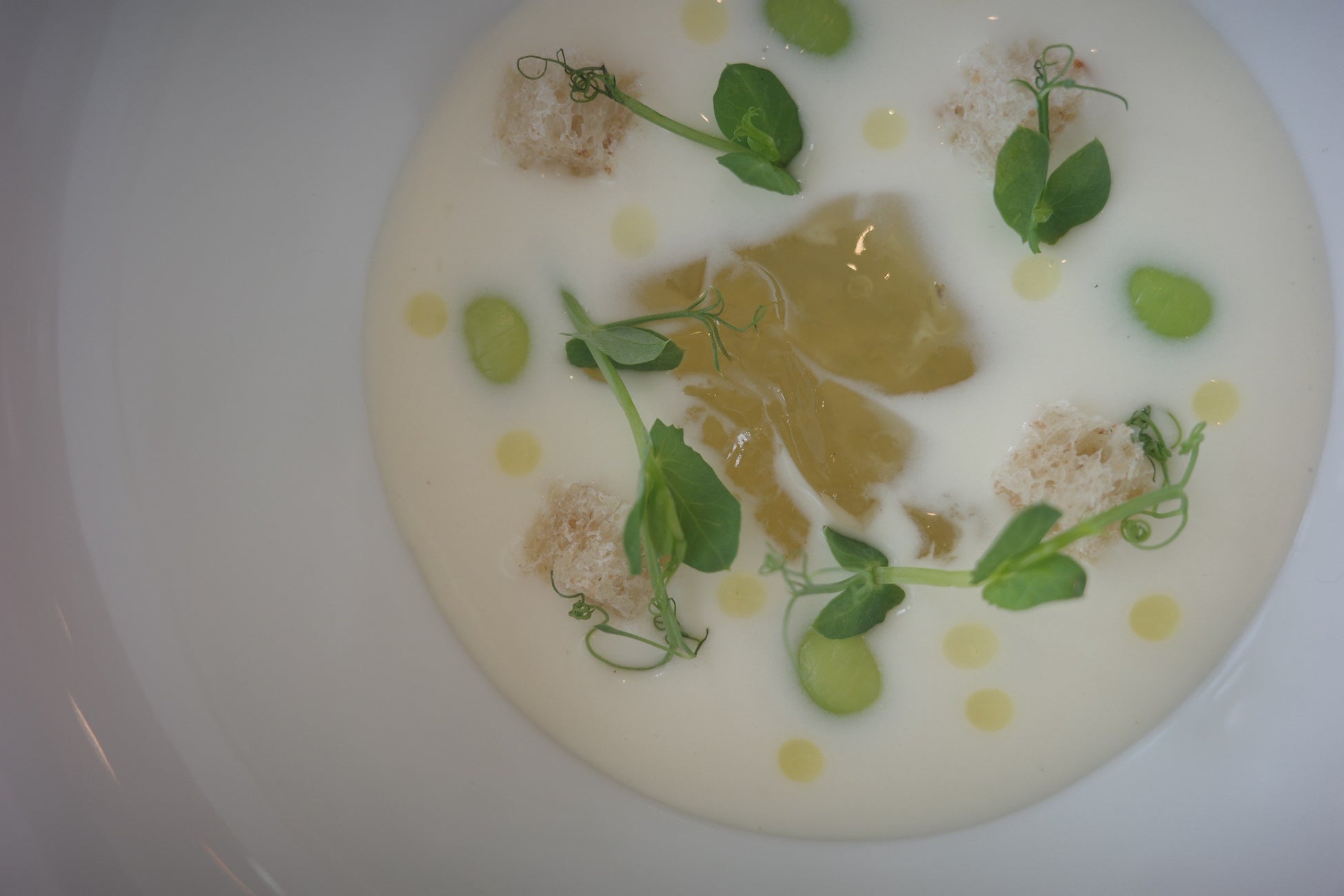 アイケアサプリメント「ピントＷ(ダブル)」新発売