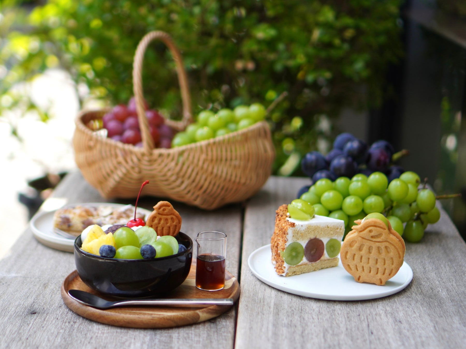 霧にいきづく生命の物語『土と田と The Beginning 2024』新発売