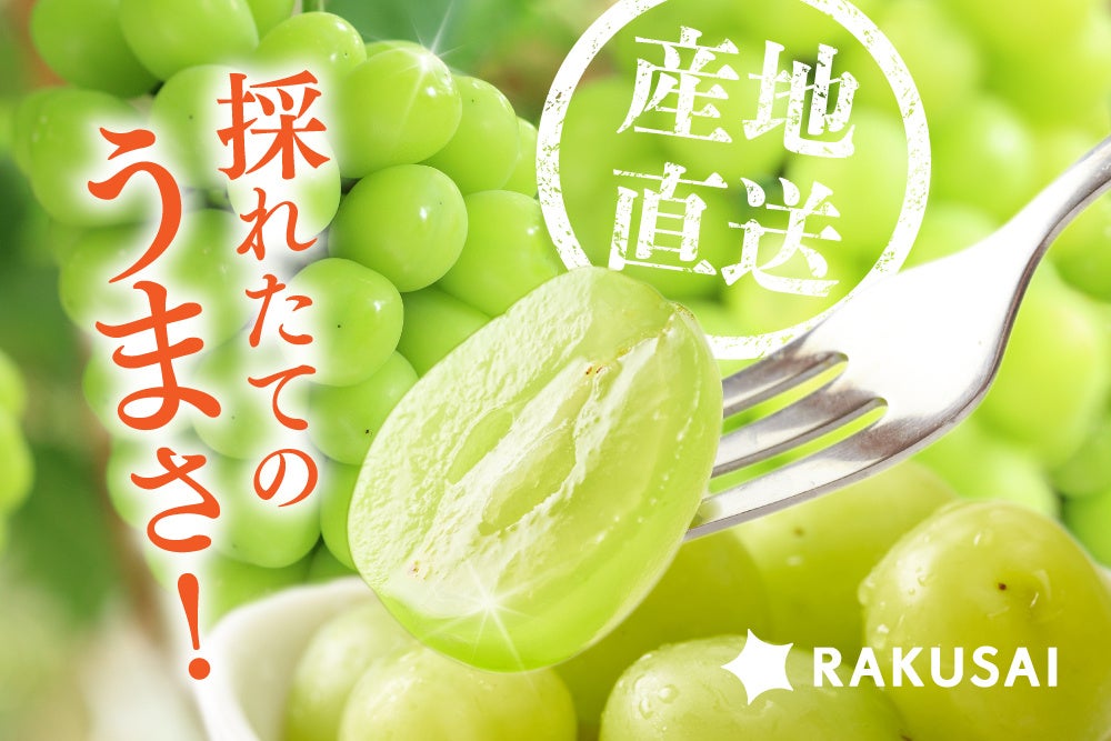 ご好評につき今年も開催決定！チョコレート愛好家に贈る、カカオ体験イベント。横浜発クラフトチョコレート専門店VANILLABEANS「みなとみらい本店」にて2025年9月24日(水)開催
