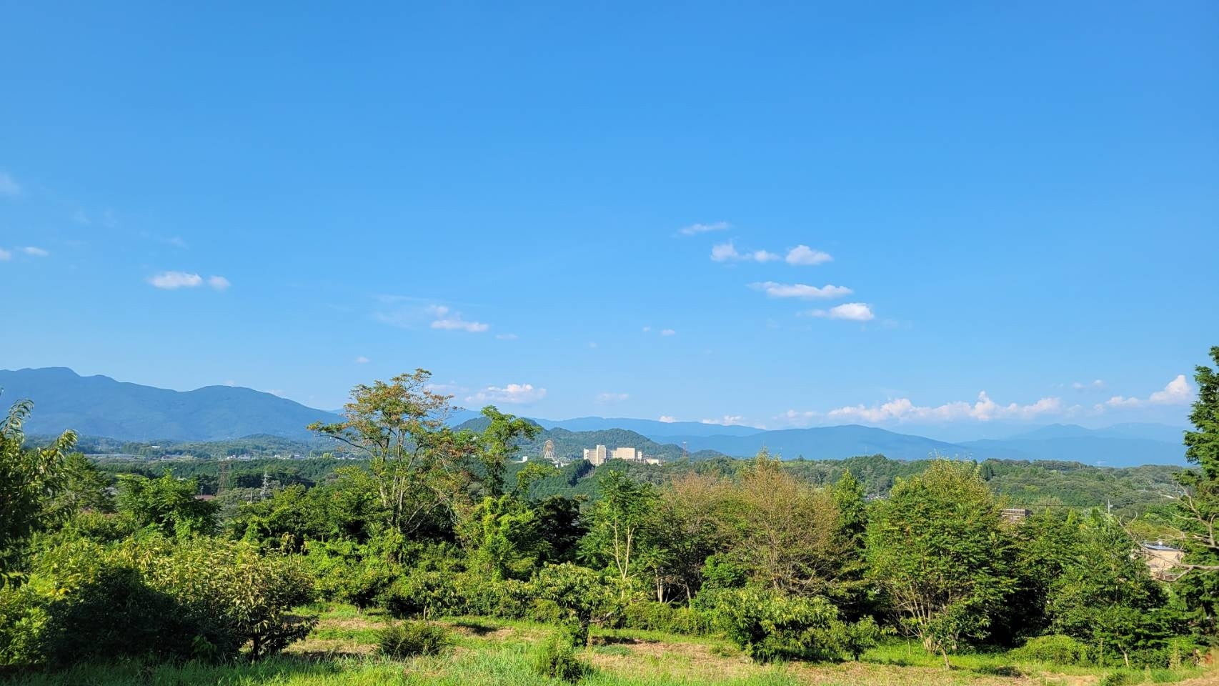 【銀座三越に期間限定オープン】時を味わうティーサロンイベント「＜フランク ミュラー＞ The Art of Time & Tea」9月3日（水）から