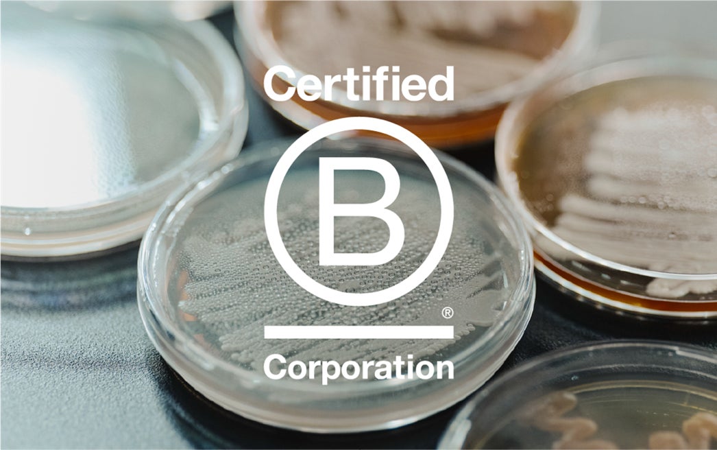 シャディ株式会社、株式会社鈴屋の子会社化により甘納豆専門店‎の銀座鈴屋の事業全体を承継