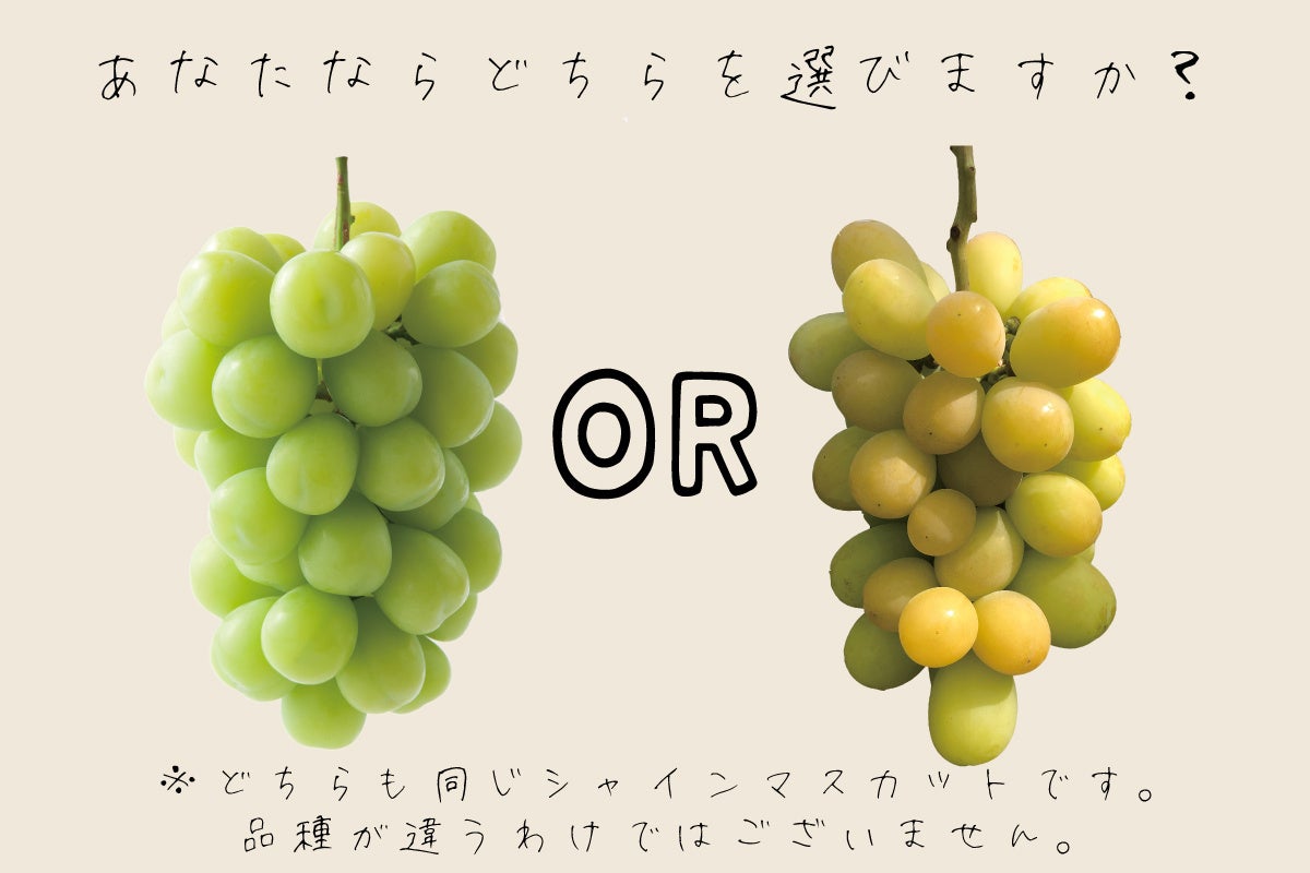 《“まだ夏” 暑い日が続く秋に、丸亀製麺からの新提案》まだまだ暑さが終わらない日々の、本音に寄り添う　“旨辛”か“さっぱり”が選べる冷たいうどん2種登場！