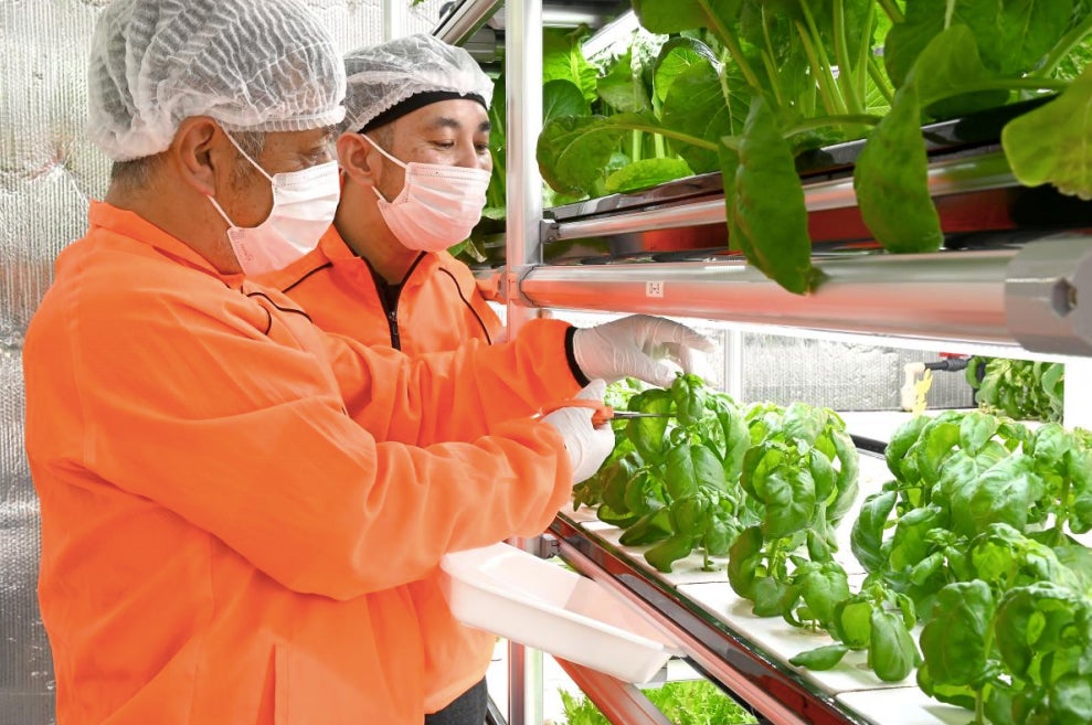 【京都・バイカル】限定復活！注目を集めた人気のバターサンド「サブレーズンサンド」が、9月に数量・期間限定で登場