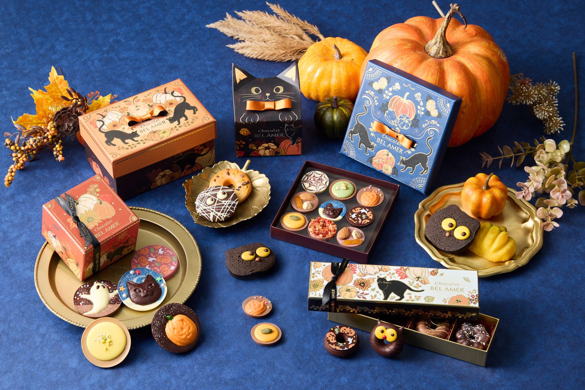 生サーモンと炙り舞茸の釜飯、かつおの藁焼きなど、秋の味覚を詰め込んだ季節限定の逸品。横浜モアーズ「黒十（コクトウ）」で9月4日より。