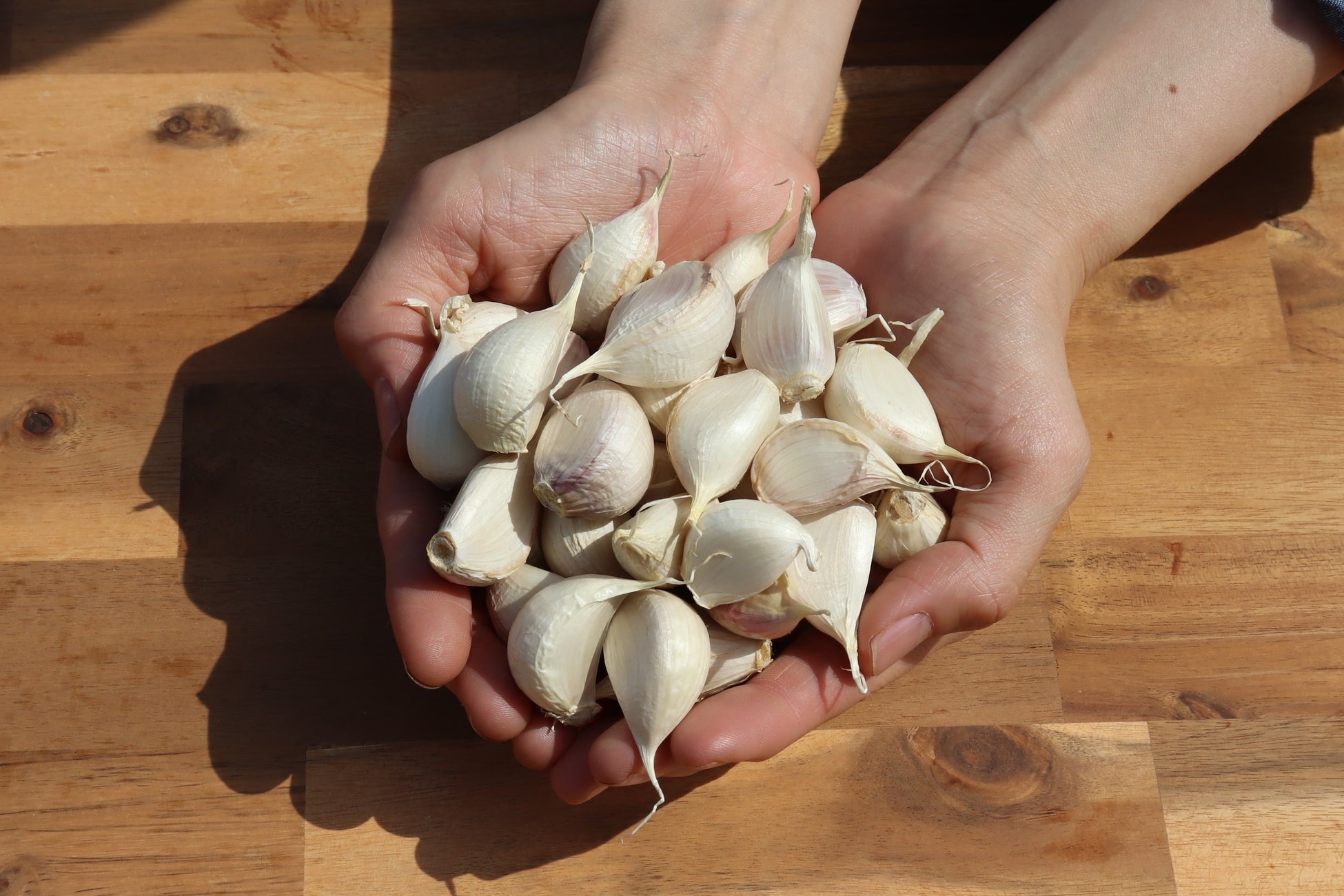 【名古屋市港区】8月よりファニチャードーム本店で400円生搾りオレンジジュース自販機IJOOZが稼働開始！