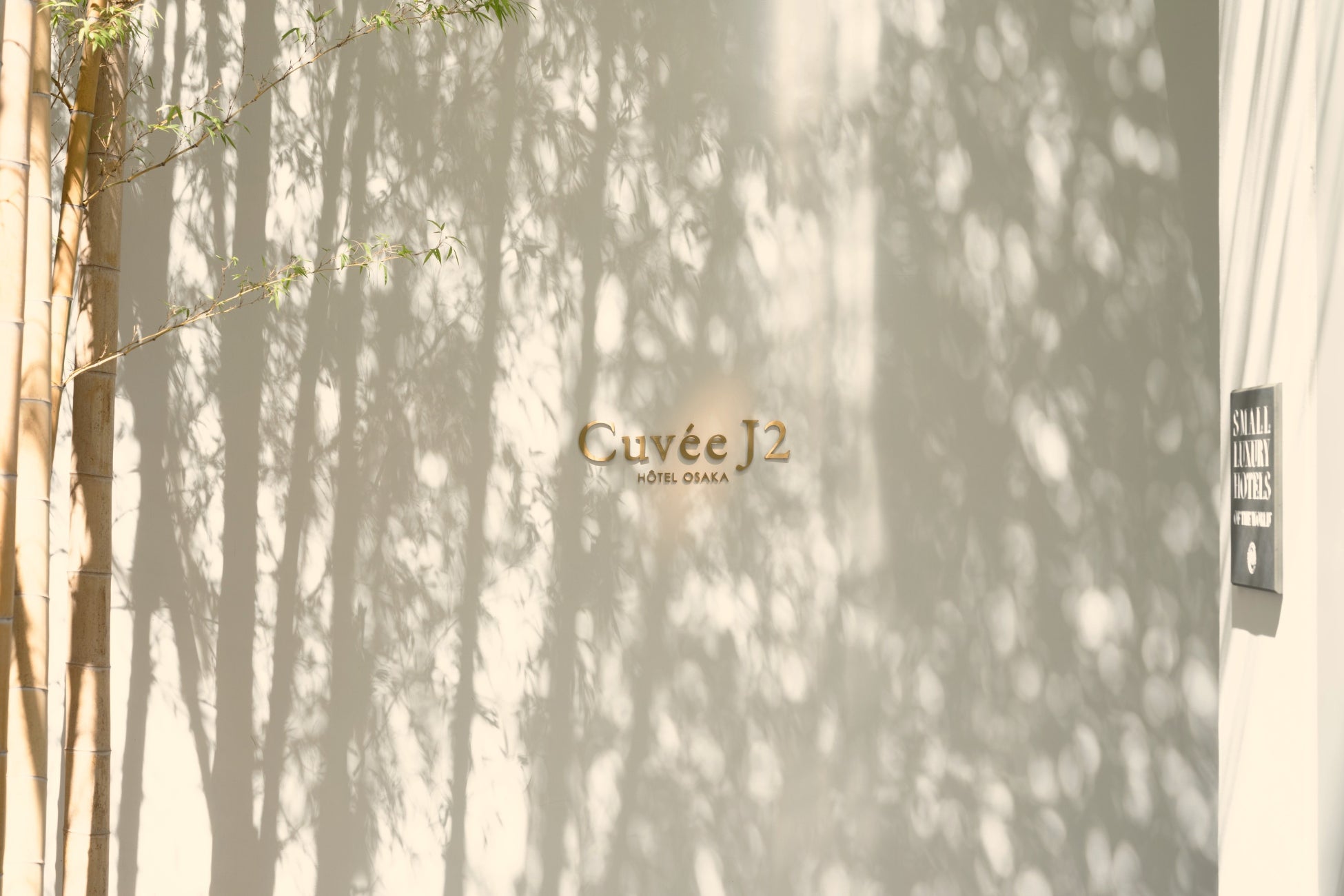 アンジュール東京の超人気キャスト4名が「のむシリカ」のバス停広告に登場