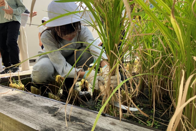 記念日や敬老のお祝いにも嬉しい記念日特典付き！　9/4（木）より【秋のプレミアムコース】のご予約受付スタート。