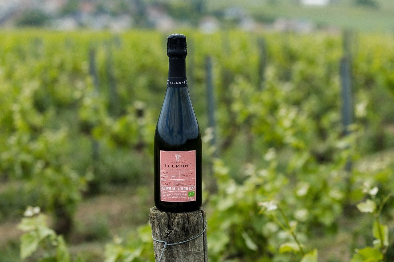 「ピザポテト」から派生ブランドが誕生！チーズ量2倍※で濃厚な味わいが楽しめる新しい「ピザポテト」『クリスピーピザポテト チーズチーズチーズ』