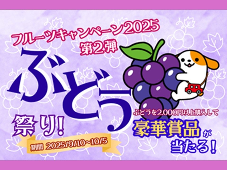 「明治ミラフル ゼリー ヨーグルト風味」「明治ミラフル ゼリー りんごヨーグルト風味」 9月8日新発売/全国